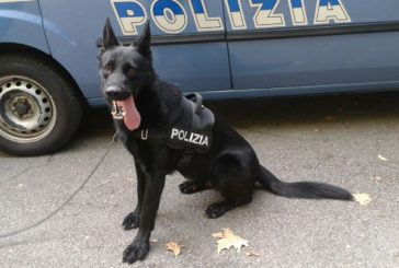 Operazione antidroga con controlli nelle scuole