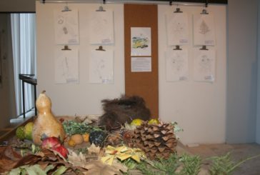 Prorogata al 30 marzo 2018 la mostra “Ars Botanica” ai Fisiocritici
