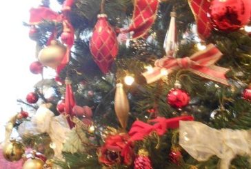La prima volta dell’albero di Natale in piazza del Campo