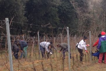 Istituto “B.Ricasoli” al top in provincia di Siena e Toscana per studio-lavoro