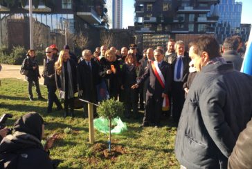 Piantato a Milano un piccolo ulivo per la pace