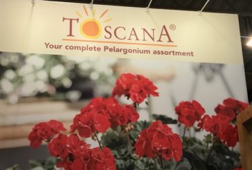 Coldiretti denuncia il “Tuscany sounding”