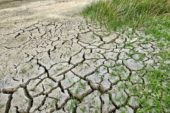 Siccità e caldo estremo: gli ambientalisti scrivono ai 257 Comuni toscani