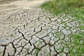 Siccità e caldo estremo: gli ambientalisti scrivono ai 257 Comuni toscani