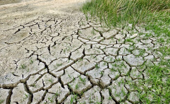 Siccità e caldo estremo: gli ambientalisti scrivono ai 257 Comuni toscani