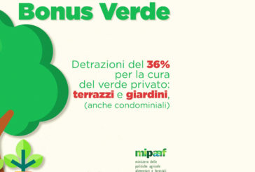 Soddisfazione di Coldiretti per il “bonus verde”
