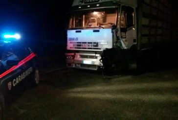 Perde il controllo del camion sulla Siena-Bettolle