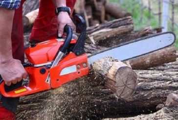 Grave 65enne che si ferisce con la motosega ad un occhio