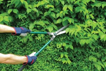 Manutenzione delle ripe: la Provincia emette un avviso pubblico
