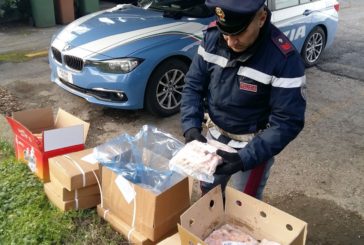 In  giro con cibi malconservati: fermati dalla Polstrada