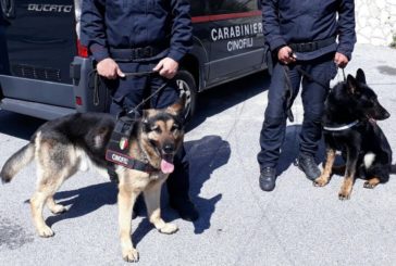 Poggibonsi: operazione antidroga dei Carabinieri