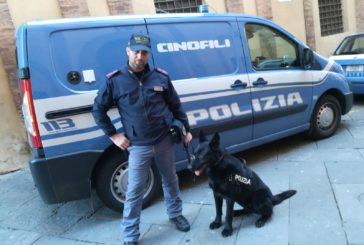Proseguono i controlli antidroga nelle scuole