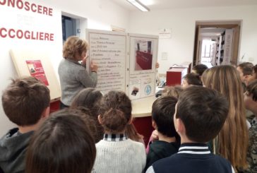 Piccoli lettori crescono, tante scuole in visita alla biblioteca
