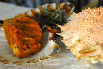 L’Arcipelago del Gusto arriva a Siena