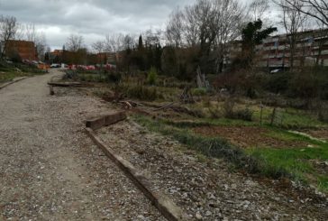 Il Comune affida due orti urbani a San Miniato
