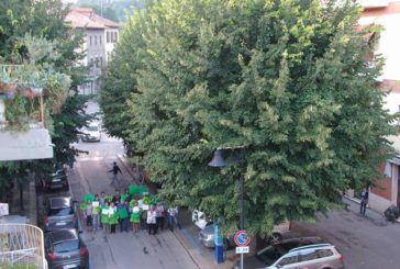 M5S Colle: “La nostra posizione su piazza Bartolomeo Scala e i tigli”