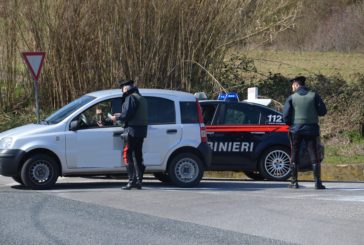 19enne denunciato per furto dai Carabinieri