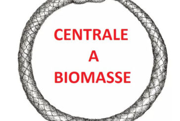 M5S Colle: l’eterno ritorno della centrale a biomasse