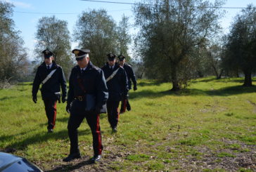 Guardia giurata sventa un tentativo di furto