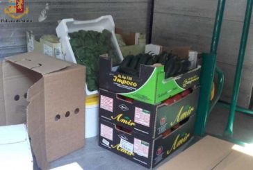 Multa da 4mila euro per un camion con frigo guasto