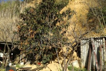 Chainciano: intervento dei Vigili del Fuoco per una frana