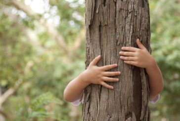 Festa degli alberi: un video celebra il rapporto bosco-uomo