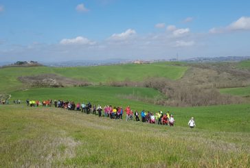 Di corsa tra le crete senesi al tramonto con “Lauretana Running”