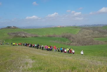 Rapolano: a spasso per un ‘Viaggio della Lauretana Toscana’