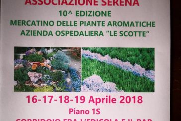 Piantine aromatiche per sostenere l’Associazione Serena