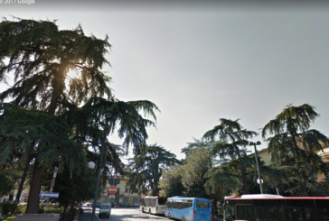 “Nuovi alberi per Piazza Mazzini a Poggibonsi ancora fuori terra”
