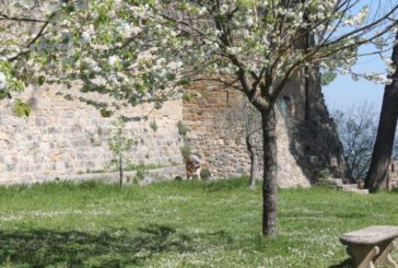 Coram populo. A trenta metri dai bagni…