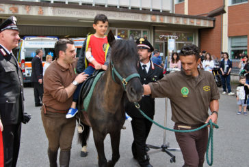 I cavallini di Monterufoli fanno visita ai piccoli pazienti del Materno Infantile