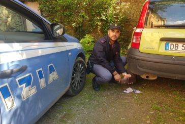 Ruba il portafogli da un’auto ma un passante lo vede. Arrestato