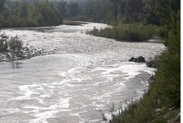 Gli ambientalisti denunciano l’inquinamento del Paglia