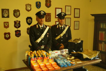 Sgominata banda di rom “operanti” in Valdichiana