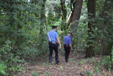 Amiata: si perde nel bosco mentre cerca funghi e chiama il 112