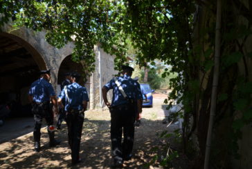 Trappole ed esche velenose: all’opera i Carabinieri forestali