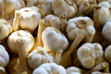 L’Aglione della Valdichiana a un passo dall’Igp