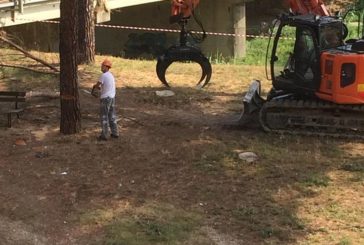 PIT: “Colombaio, addio pinetina”
