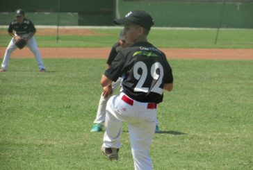 Siena Baseball: tornano i corsi giovanili