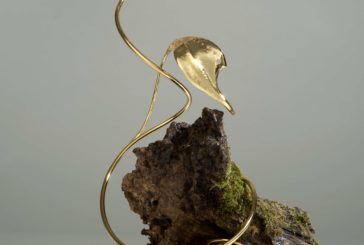 “Elements and tradition”: le opere di Laura Brocchi a Palazzo Pubblico