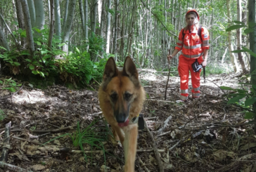 Anche i cani cercano la 47enne scomparsa dal policlinico