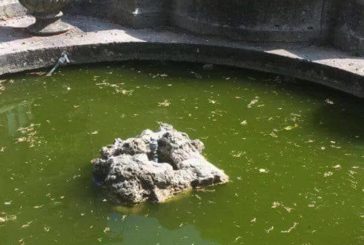 CasaPound: “A Buonconvento grave disattenzione al decoro urbano”