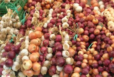 A San Casciano dei Bagni torna l’Antica Fiera delle cipolle