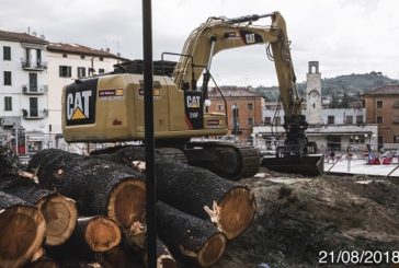 “Il massacro degli alberi di piazza Mazzini è concluso”