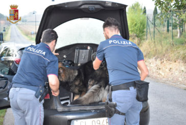 Operazione family: la Polizia smantella una rete di spaccio