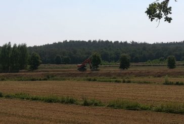 Paesaggio della bonifica in Valdichiana, dossier al Ministero