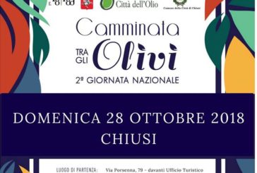 Chiusi accoglie la seconda edizione della Camminata tra gli Olivi