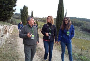 Castellina in Chianti: domenica torna la Camminata tra gli olivi