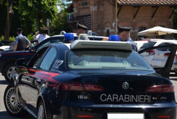 Cani irrequieti: due interventi dei Carabinieri